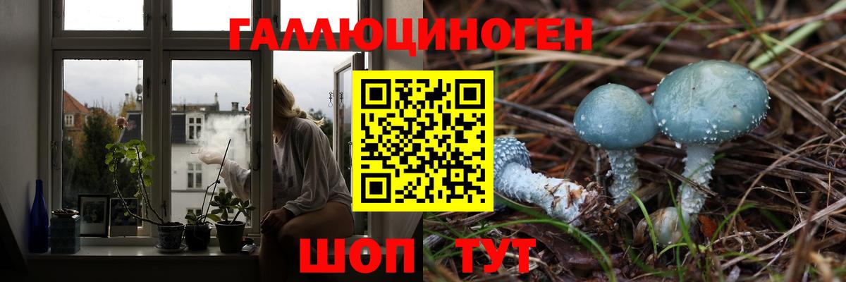 Галлюциногенные грибы ЛСД Магадан